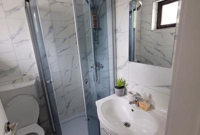 Apartament cu 2 camere în Straja - 8