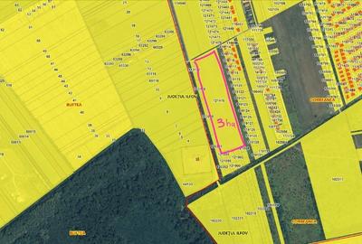 Teren intravilan 4 hectare, oportunitate de dezvoltare rezidențială în Corbeanca - 2