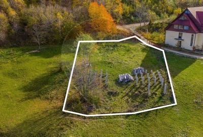 COMISION 0% Teren 1,000mp Sohodol/AC si proiect de casa valabil - 3