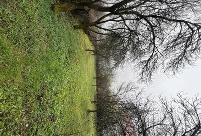 Casă cu 3 camere cu Teren 1114 Mp în Vechea - 1