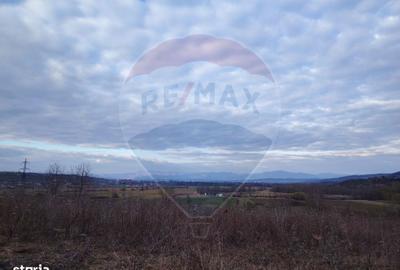 Spațiu comercial, în Copalnic - 9