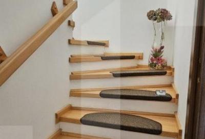 Casa deosebita, 128 mp, 569 mp teren, in Santionlunca - 2