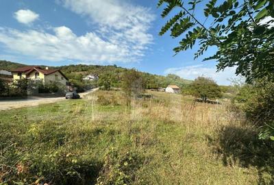 Teren de 750 mp, în Cetate - 3