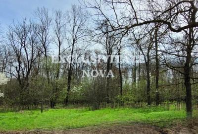 0% Teren Padurea Cernica 4900-9800MP INTRAVILAN utilitati Oras Pantelimon - 2