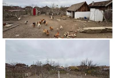 Vand casa in chisineu cris jud arad (Padureni) - 1