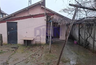 Pantelimon - Tuborg - 12