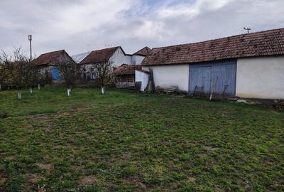 Casă cu 2 camere cu Teren 140 Mp în Bucerdea Grânoasă - 3