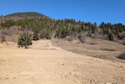 Spațiu comercial, în Colibița - 8