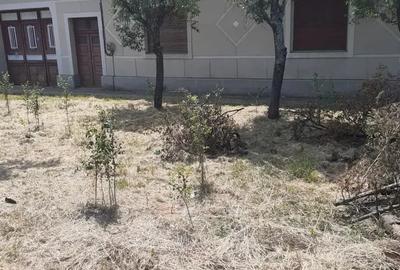 Casă cu 6 camere în Sacu - 2