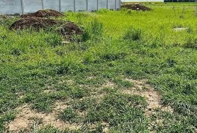 | TEREN 374 MP | COMUNA BERCENI-MIORITA | INTRAVILIAN |