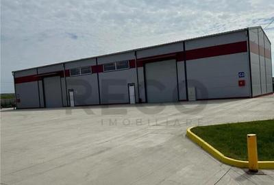 RECO Hala industriala zona de vest - 2