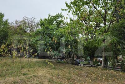 Teren extravilan 17524 mp, expunere sudica, Viforata - 34