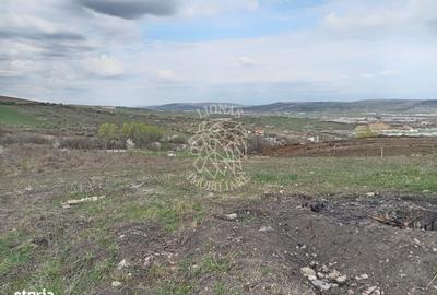 Teren de 500 mp, în Apahida - 5