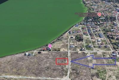 Teren 1000 Mp - Palazu Mare  - Oportunitate Investitie - 4