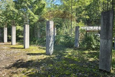 Teren 4,000mp Pascoaia / Soseaua Punctul Chiliilor - 3