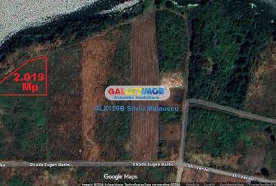 Teren Construcții intravilan de 2019 mp, în Mogoșoaia - 7
