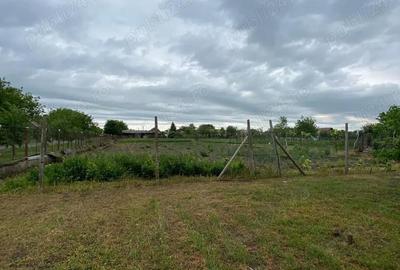 Casă cu 4 camere cu Teren 1656 Mp în Iecea Mică - 6