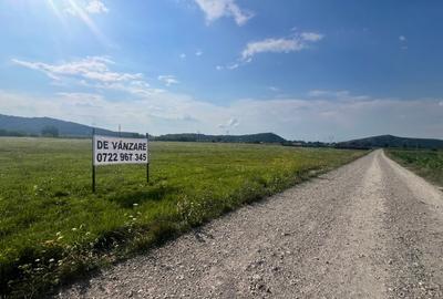 Teren Construcții extravilan de 10800 mp, în Hărman - 1