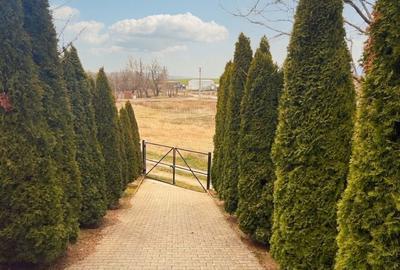 Spațiu comercial, în Central - 3