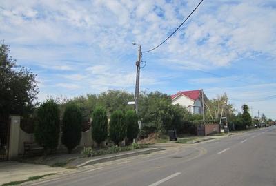 Domnesti Ciutaci-Zorelelor - 4