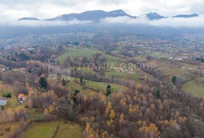 Teren intravilan, cu PUZ, Bran Tohanita,  SE ACCEPTĂ ȘI SCHIMB - 25