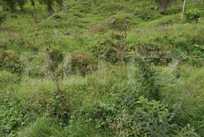 Teren de 5000 mp, în Central - 2