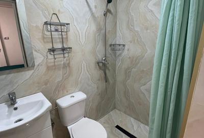 Apartament 1 camera, zona Targu Cucu - 7