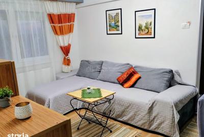 Apartament cu 2 camere în Șega