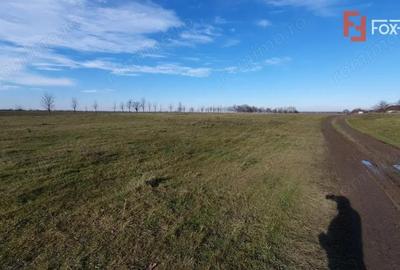 Teren de 665 mp, în Pădureni (Jebel)