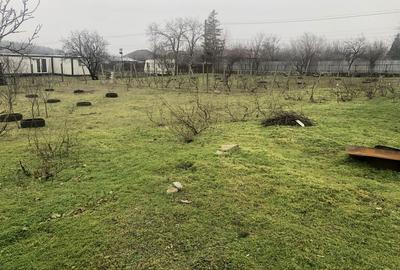 Casă cu 3 camere în Greci - 5