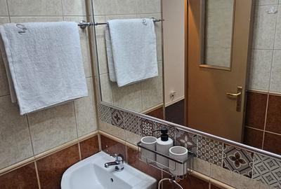 Garsonieră decomandată, mobilată în Dristor - 11