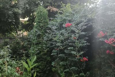 Casă în Bucureștii Noi - 4