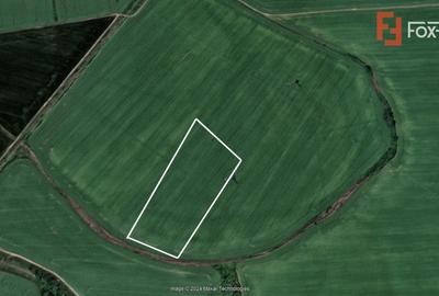 COMISION 0% Teren extravilan agricol de vanzare in Timisoara, zona Mehala - 3