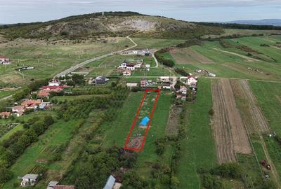 Teren Construcții intravilan de 2000 mp, în Betfia - 3