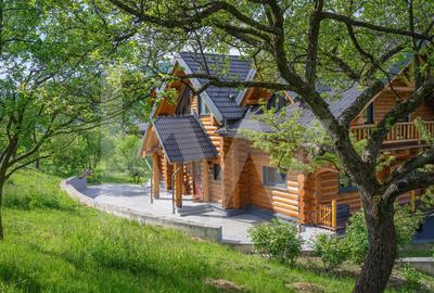Casă individuală cu 6 camere cu Teren 5683 Mp în Sadu - 52