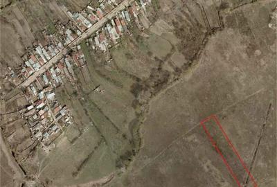 Teren de 5000 mp, în Giulești - 4