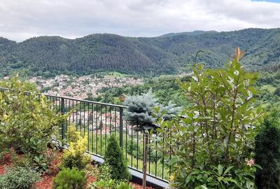 Apartament cu 3 camere decomandat, mobilat în Drumul Poienii - 17