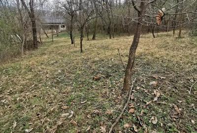 Casă cu 2 camere cu Teren 1960 Mp în Teișani - 1