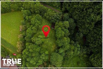 Teren de 2800 mp, în Eremitu - 17