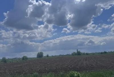 Teren de 7800 mp, în Rădăuți