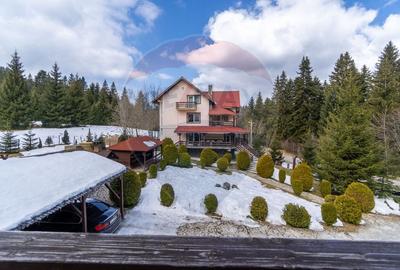 Hotel/Pensiune, de 404 mp, în Vlădeț - Trei Brazi - 41