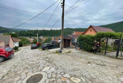 Casa superba din caramida arsa in zona Stavila - 19