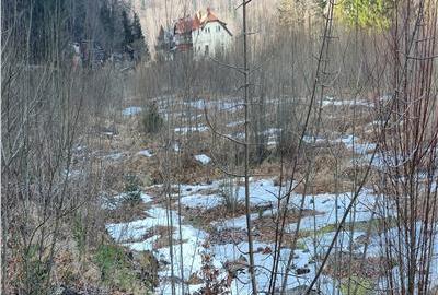 De vanzare teren intravilan AZUGA - 16