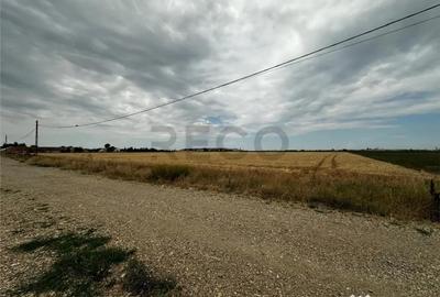 Teren de 4500 mp, în Episcopia Bihorului - 3