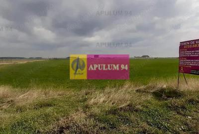 Teren de 5110 mp, în 1 Decembrie - 2