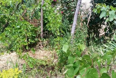 Casă cu 3 camere în Berca - 3