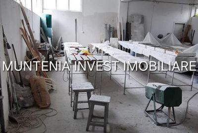 Spațiu comercial, de 672 mp, în Mărăcineni - 2