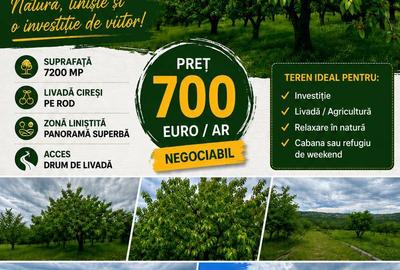 Teren de 7200 mp, în Central - 2