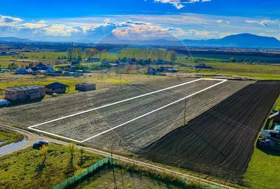 COMISION 0% Teren Sânpetru 8900 mp/ Intravilan/ 8 loturi - 8