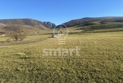 Teren intravilan cu priveliste spectaculoasa Petresti de Jos Cluj - 8